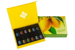 Kit Brasil 2 1 - Luna Pilates