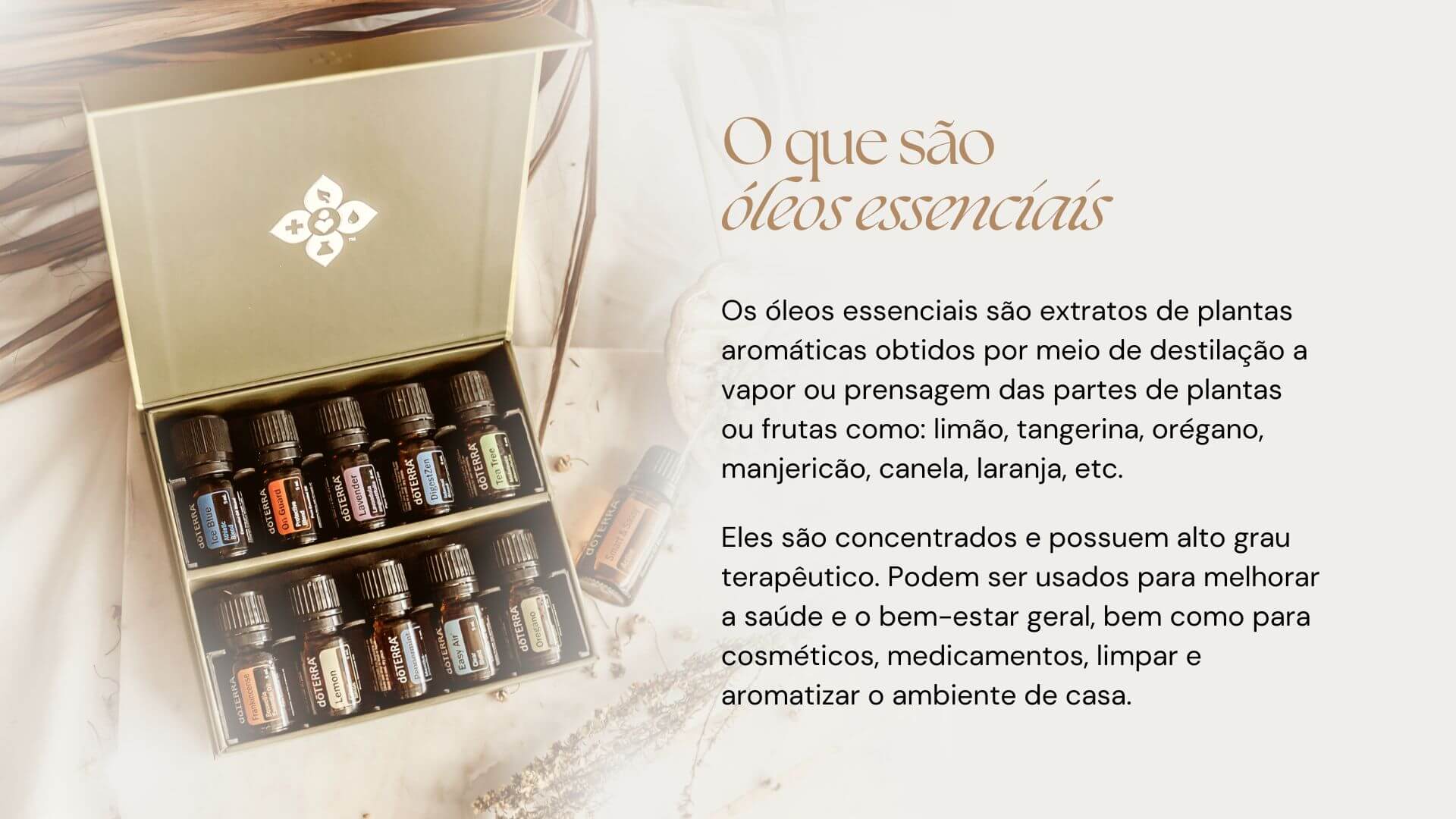 Apresentacao de oportunidade doTERRA 5 1 - Luna Pilates