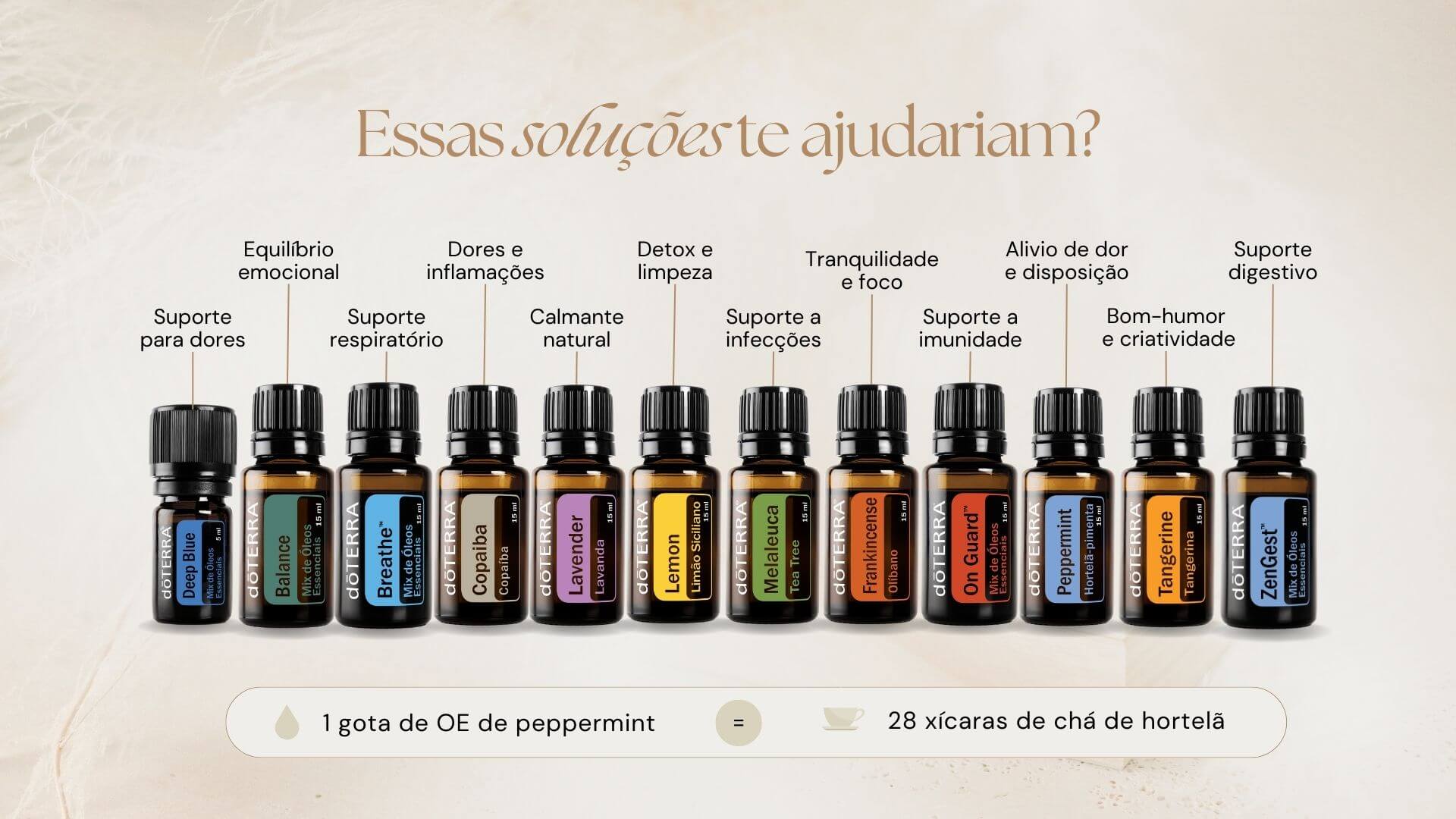 Apresentacao de oportunidade doTERRA 6 2 - Luna Pilates