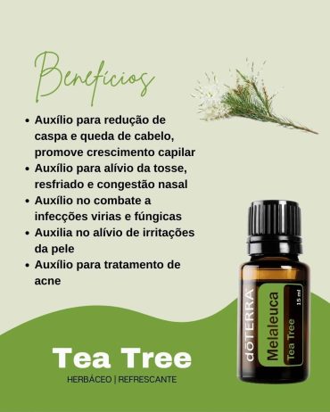 Melaleuca (1)